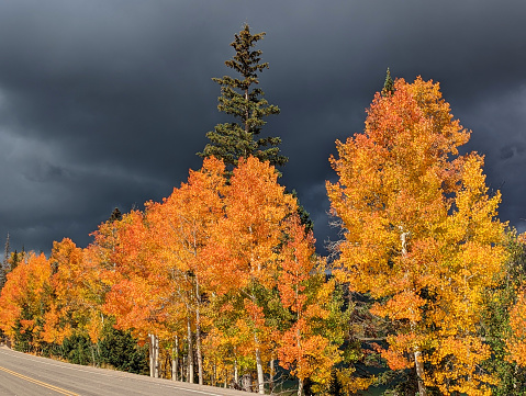 Fall colors on US-14 over Cedar Mountain to Cedar Breaks National Monument and Navajo Lake Utah