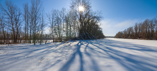 winter snowbound forest in light of sparkle sun, winter seasonal natural background