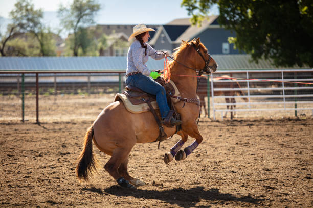 istock Female Equestrian Rears Up Horse 1431456601
