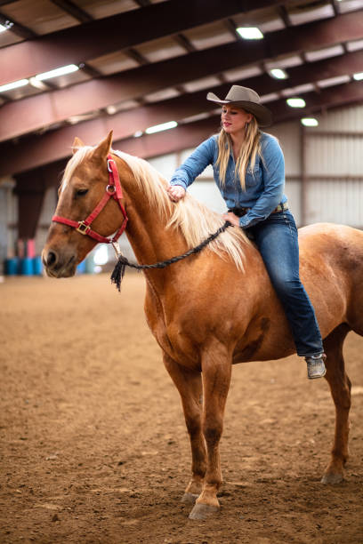 istock Female Equestrian Brushing Horse's Mane With Her Hand 1431457161