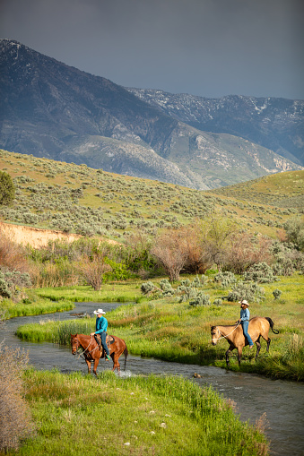 A vertical shot of two horseback riders riding horses and crossing a stream on a lush green field with mountains visible in the background during the day.
