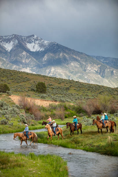 istock Six Horseback Riders Crossing Stream With Mountain Range In The Background 1431457217