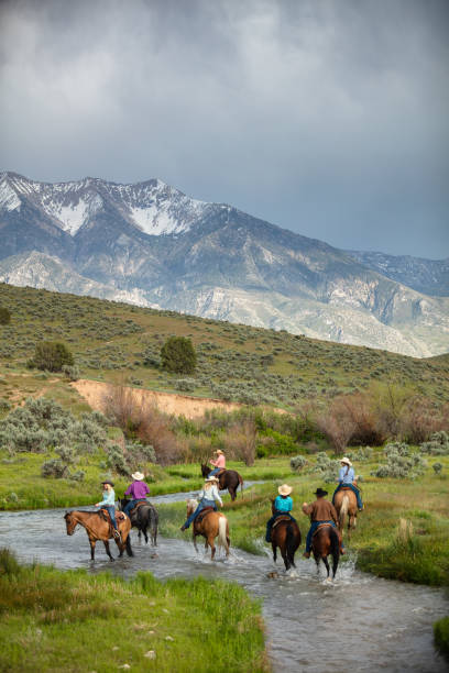 istock Group of Horseback Riders Crossing a Stream 1431457218