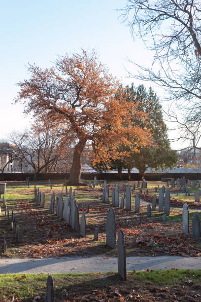 istock A cemetery with many tombstones during a sunny fall day 1431459922