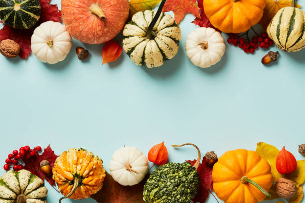 istock Autumn frame. Different decorative pumpkins, autumnal decorations, maple leaves, acorns, rowan branches, physalis on pastel blue table. Flat lay, top view, copy space. 1431466161