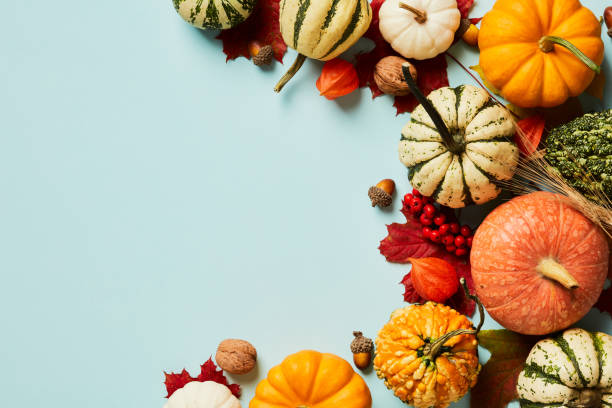 istock Autumn flat lay composition. Frame with pumpkins, maple leaves, acorns, rowan branches, physalis on pastel blue table. 1431466191