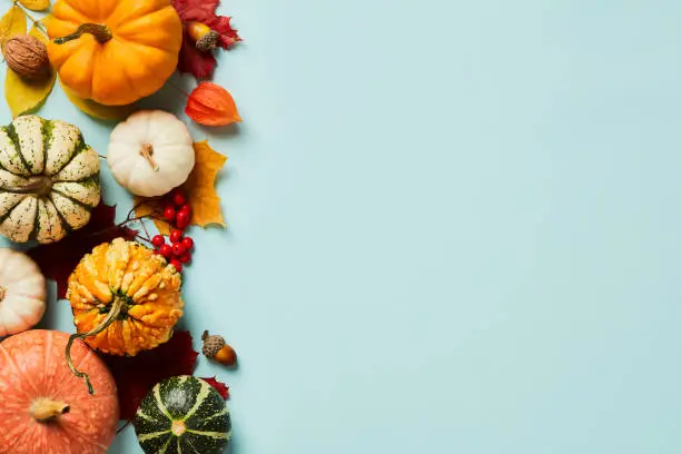 Photo of Autumn frame border with pumpkins, maple leaves, acorns, rowan branches, physalis on pastel blue table. Autumn fall, Thanksgiving concept.