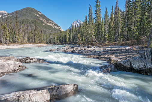 Rapids on the Kicking Horse River in Yoho National Park in British Columbia