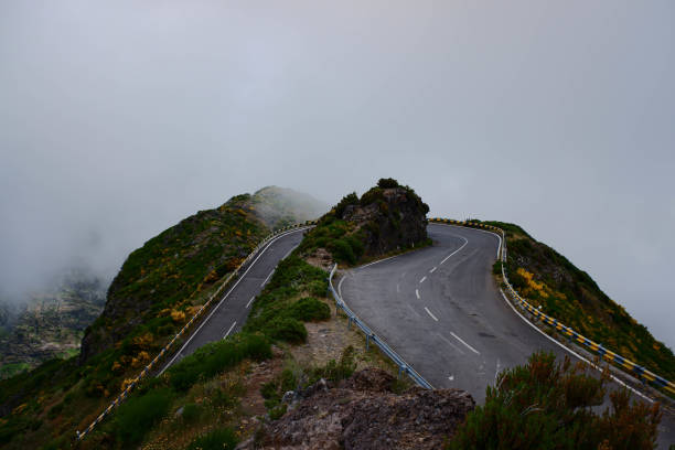 istock Empty serpentine curve in the fog 1431472121