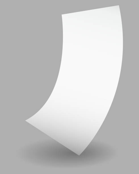 istock Blank payment check and receipts with shadow. Curved financial paper, purchase invoice. Buying, bill or calculate pay. Receipt the seller form 1431472499