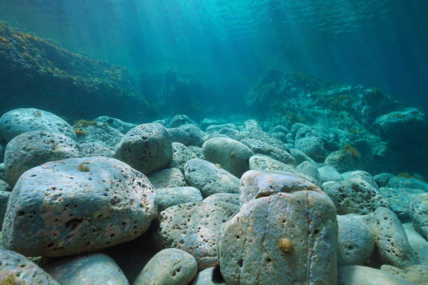 istock Rocky seabed rocks underwater in the sea 1431474114