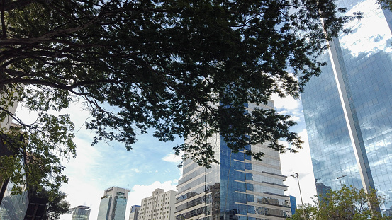 Faria Lima Avenue in Sao Paulo, Brazil. Modern buildings, trees and blue skye