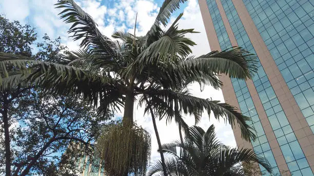 Modern Buildings in Faria Lima Avenue, Sao Paulo, Brazil on a beautiful sunny day
