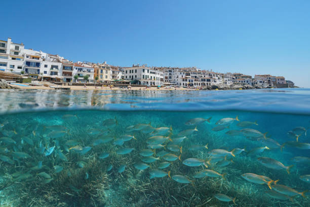 istock Spanish town on the Mediterranean coast with fish underwater sea 1431484438