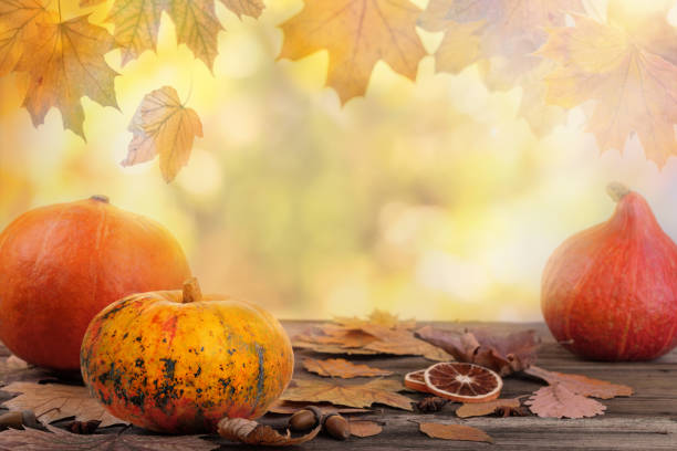 Thanksgiving day or Halloween background with pumpkins. Thanksgiving day or Autumn background. Pumpkins on old rustic wooden table with defocused yellow and orange lush foliage at background. Backdrop for product display on top of the table. Focus on foreground. fall picnic table stock pictures, royalty-free photos & images