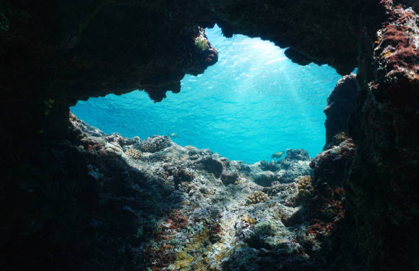 выход из подводной пещеры в океан с солнечным светом через водную гладь - sea passage фотографии стоковые фото и изображения