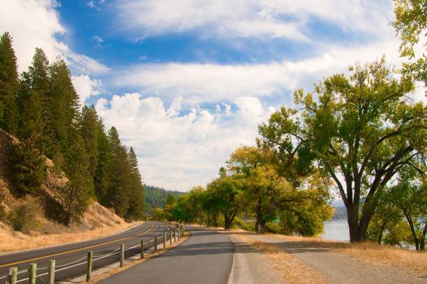 istock Road and Trail Share the View in Northwestern Idaho 1431486297