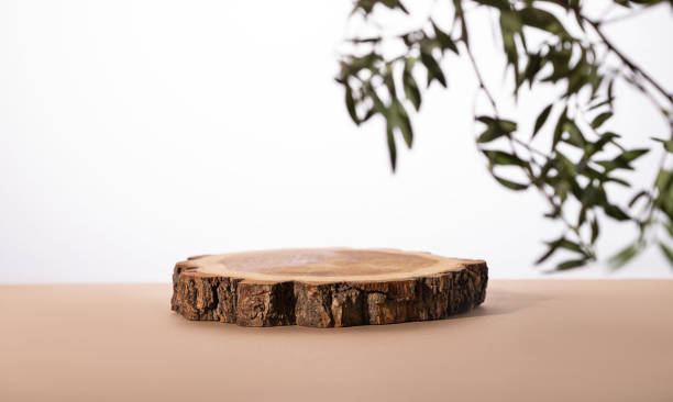 istock Modern product display on a neutral beige background with branches. Wooden round podium. 1431486347