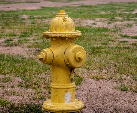 Photo of a yellow fire hydrant on a brown patched lawn.