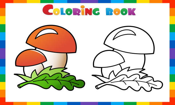  Ilustración de Dibujo Para Colorear Esquema De Hongos De Dibujos Animados Regalos De Verano De La Naturaleza Libro Para Colorear Para Niños y más Vectores Libres de Derechos de Camino