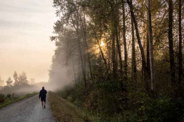 istock DeBoville Slough Trail 1431499936