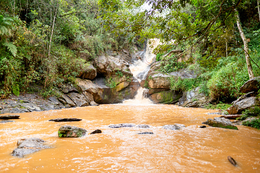 Scenic waterfall and river flowing through a tropical forest on a sunny day