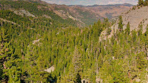 istock Drone Shot of Ebbetts Pass in Autumn 1431503322