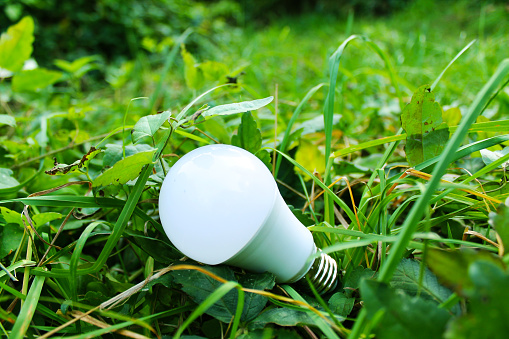 Renewable energy light bulb on the grass in the forest - sustainable resources for environmental conservation and green planet earth