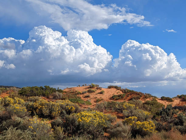 Coral Pink Sand Dunes State Park near Kanab Utah in the autumn with gorgeous cloudscape background stock photo