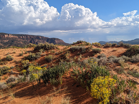 Coral Pink Sand Dunes State Park near Kanab Utah in the autumn with gorgeous cloudscape background