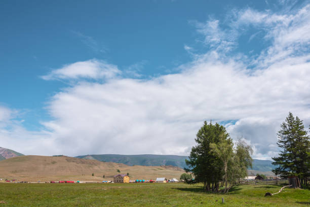 vue alpine spectaculaire des arbres aux petites maisons dans une prairie verte ensoleillée contre une haute chaîne de montagnes sous les nuages dans le ciel bleu. paysage de montagne pittoresque à un temps changeant. village en haute montagne. - grass area hill sky mountain range photos et images de collection