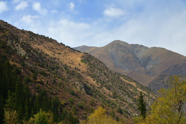 Ak Sai valley autumn landscape. View on high peaks of Tian Shan mountains.  Ala Archa national park, Kyrgyzstan