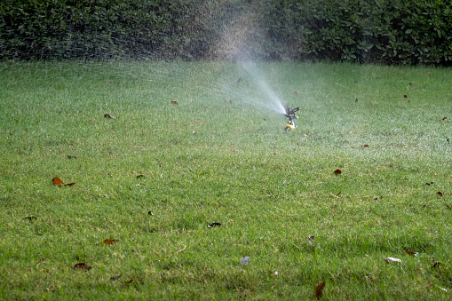 Sprinkler irrigation system on grass