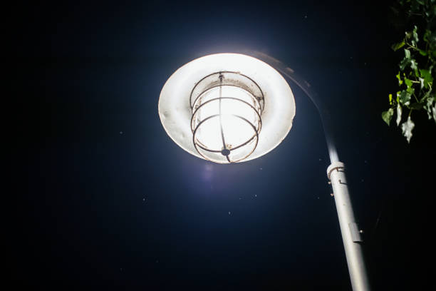 Street Light at Night with Flies flying around it