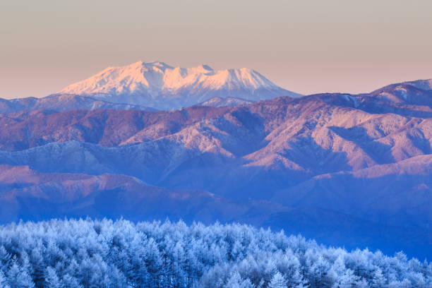 Winter landscape of Mount Ontake and larch forest View of Mount Ontake and larch forest in morning from Takabochi Highland, Mountain Takabochi, Nagano prefecture, Japan. mt ontake stock pictures, royalty-free photos & images