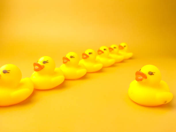 istock Group of toy ducks with leadder. Leadder and teamwork concept 1431520916