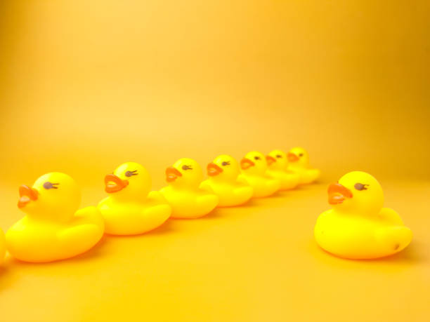 istock Group of toy ducks with leadder. Leadder and teamwork concept 1431521000