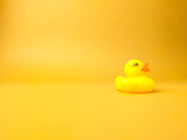 istock Toy duck isolated on a yellow background with copy space. 1431521010