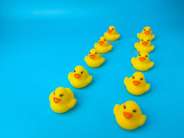 istock Group of toy ducks. Leadder and teamwork concept 1431521047