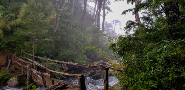 istock Huerquehue National Park. 1431526326