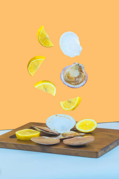 Livitated raw scalops in shells and sliced lemon stock photo