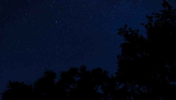 istock Star filled night with lots of room for copy 1431536384