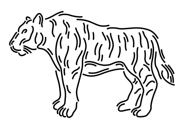 Tigger Line Pattern 250+ Tiger Line Art Silhouette Stock Photos, Pictures & Royalty-Free ...