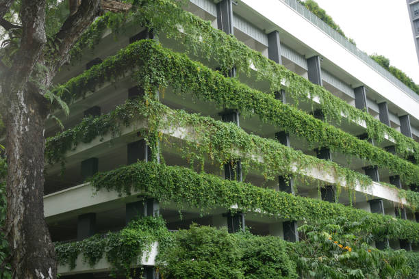 istock building with plants growing on the facade 1431551385