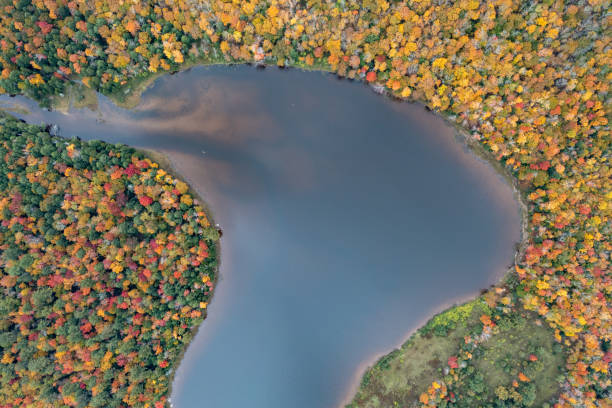istock Peak Foilage - Lake Colgate, New York 1431551796