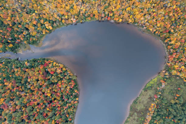 istock Peak Foilage - Lake Colgate, New York 1431552275