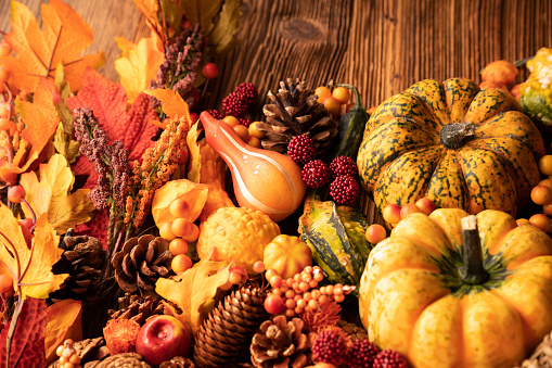 Decorative pumpkins, various leaves, pine cones, nuts. Orange, yellow, red  and brown aesthetics.