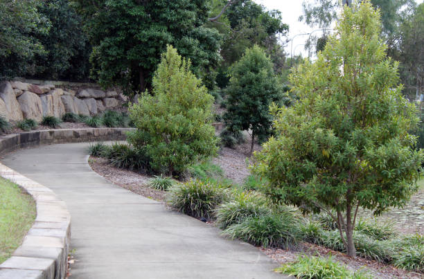 istock Cement path in a park with plants, trees and grass 1431561443