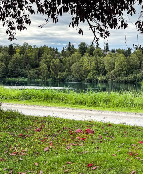 istock Westchester lagoon park  in Anchorage Alaska 1431562072