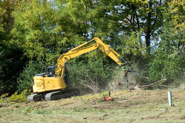 istock Heavy Machinery Excavator with Claw Clearing Land 1431564004